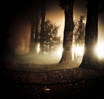 Shadow of Darkness by Meteorolog