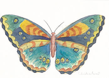 Butterfly Moth Watercolor