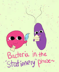 Bacteria