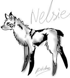 Nelsie