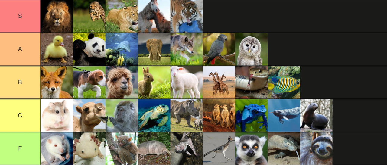 Animal Ranking Tier List Animal tier lists by AnmanmanGulpin on DeviantArt