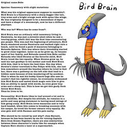 Bird Brain update