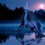 Still Waters