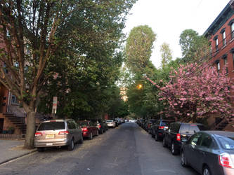A Green Street in Jersey City