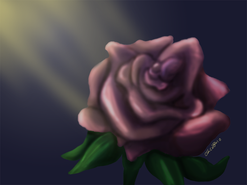 A simple lone rose