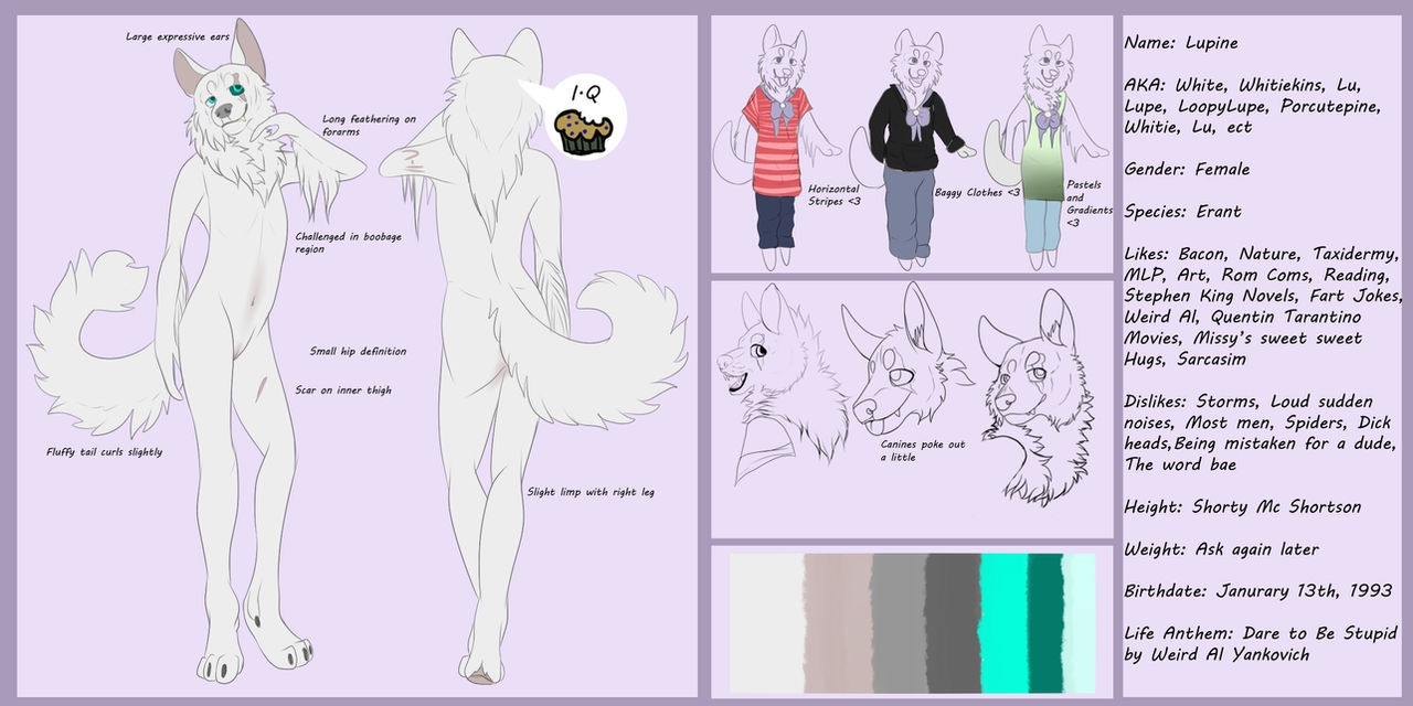 Lupine Anthro Reference