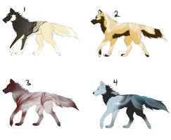 Wolf Adopts: Point and USD