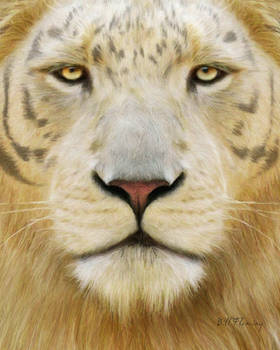 Liger