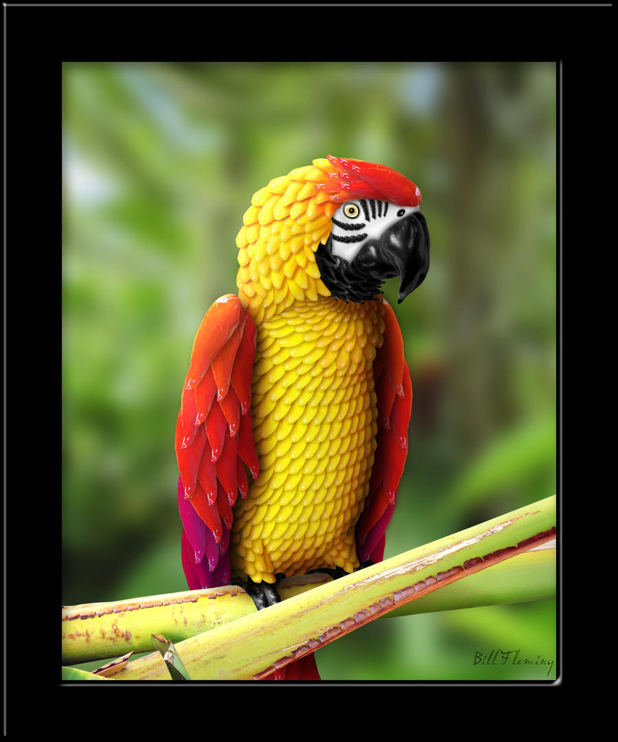 Chili Pepper Parrot