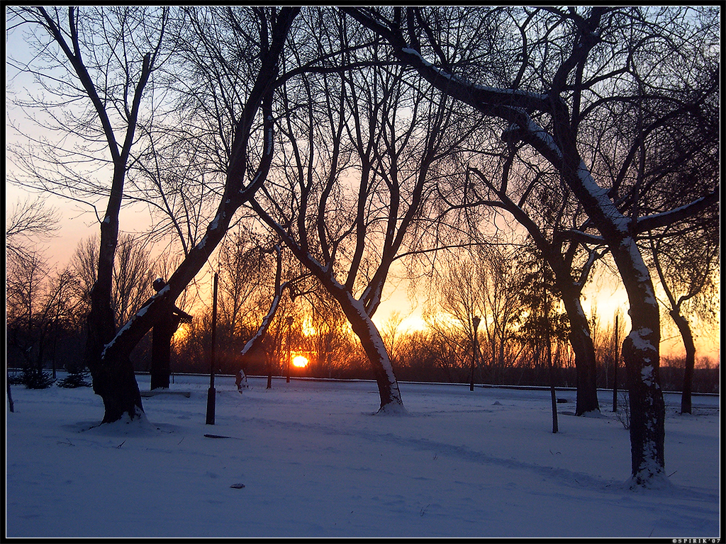 Pushkin's square