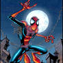 SPIDER-MAN :: FCO colours