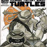 TMNT Leo and Don IDW sketch cover