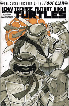 TMNT Leo and Don IDW sketch cover