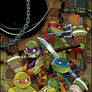 TMNT Animated 9 Cover Art