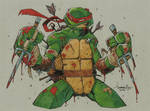 TMNT Raph after battle by Red-J