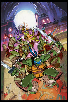 TMNT Amazing Adventures 1 Cover