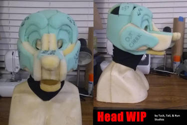 Head WIP 1