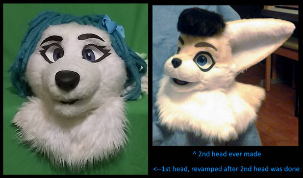 Head Comparison