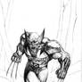 Wolverine - Charging