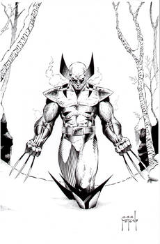 Wolvie in the Snow
