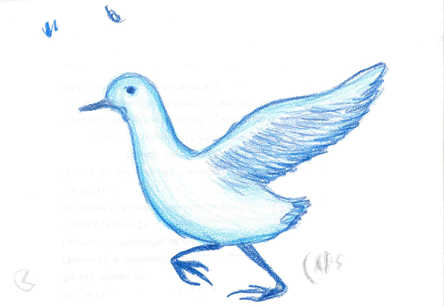 blue coloured bird