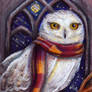 Hedwig in the Owlery