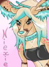 Niexie doe IMVU DP