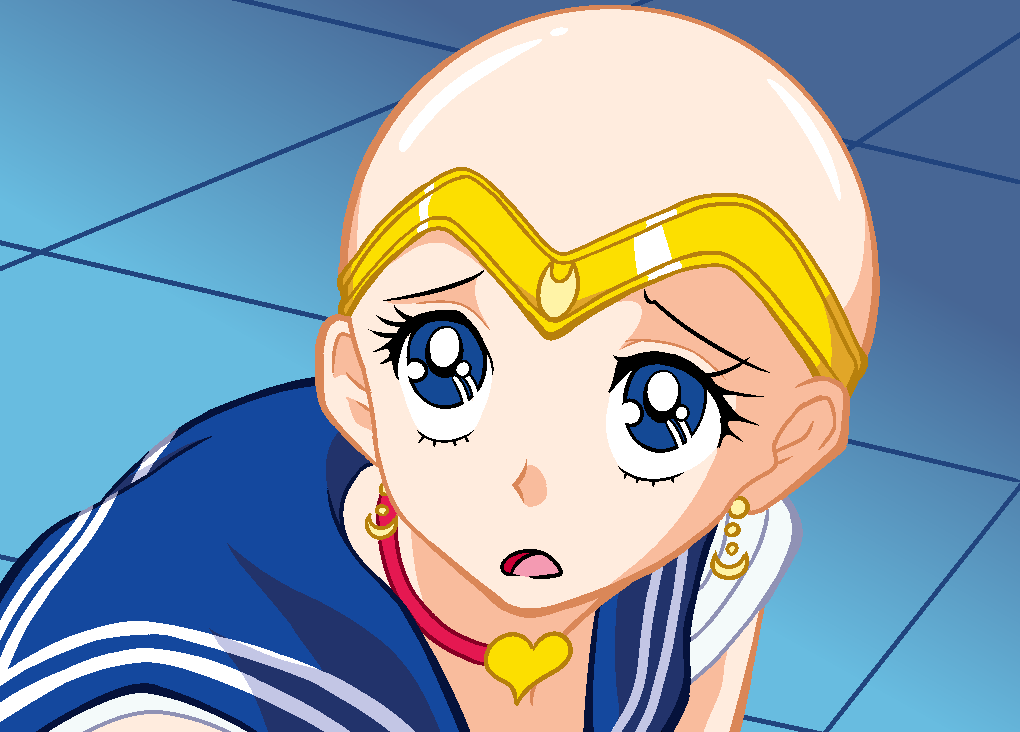 Obligatory Sailor Moon meme by JPGR00 on DeviantArt Obligatory Sailor Moon meme by JPGR00 on DeviantArt