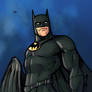 Batman Panther Suit