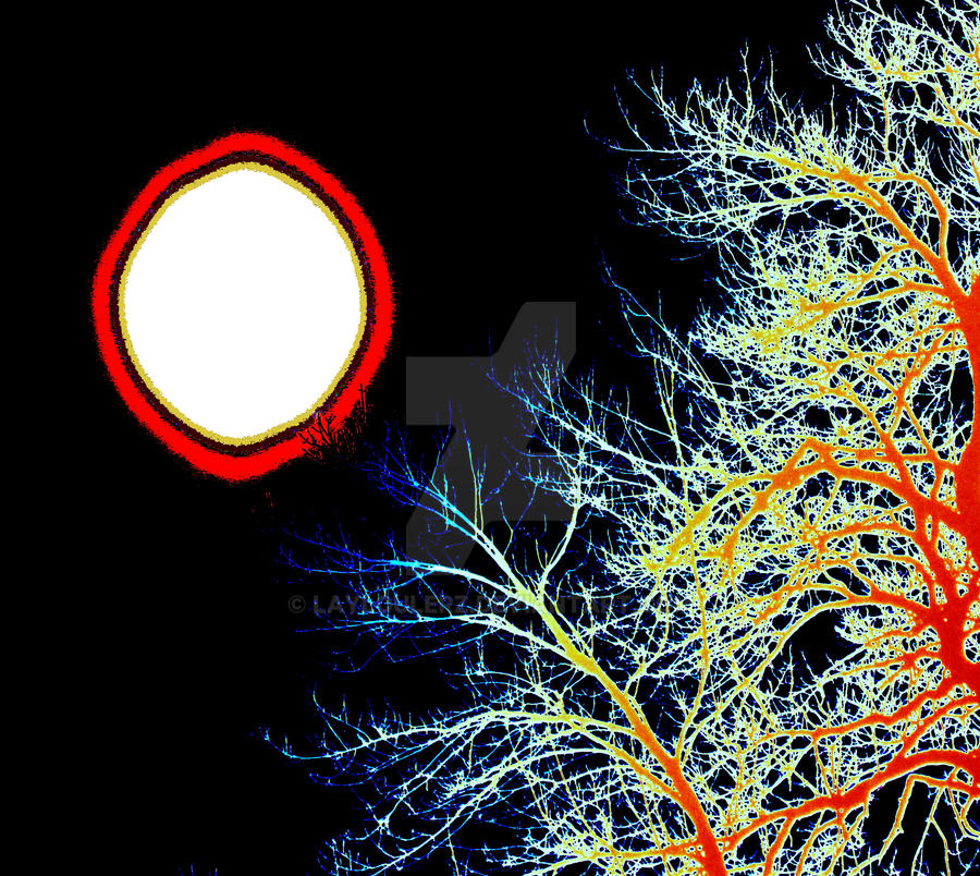 Fire Tree Gradient Firetree by LayLouLerz on DeviantArt