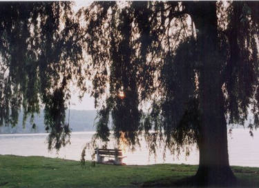 a peaceful time at the lake