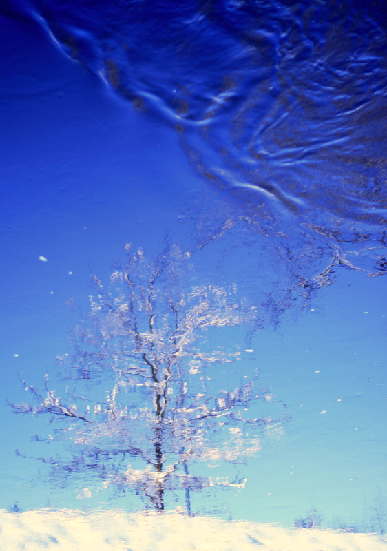 winter in the river