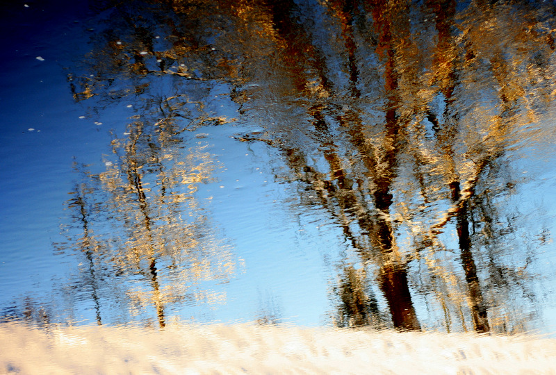 winter in the river