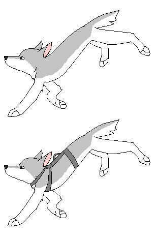 Husky base 9 by dozakeet on DeviantArt