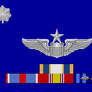 Commendations and Insignia