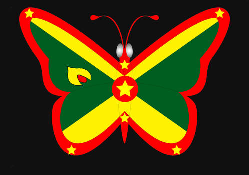 flag butterfly