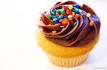 The Cupcake Bakery by nic26795