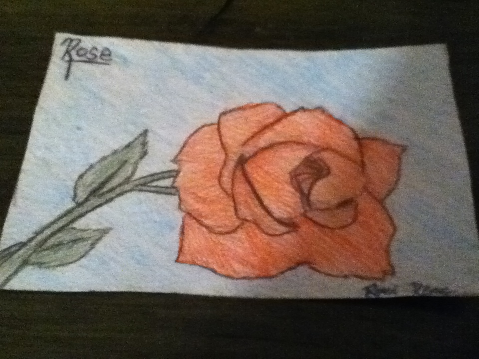 Rose Drawing