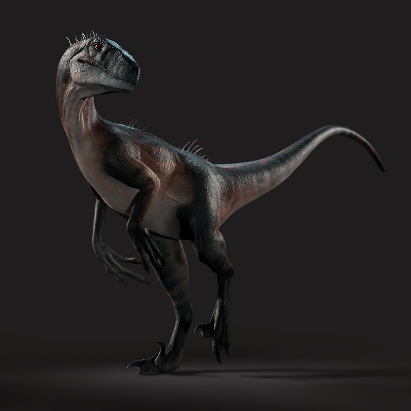 Raptor by Pantheryx on DeviantArt