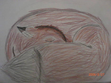 Sleeping Fox --First Attempt--