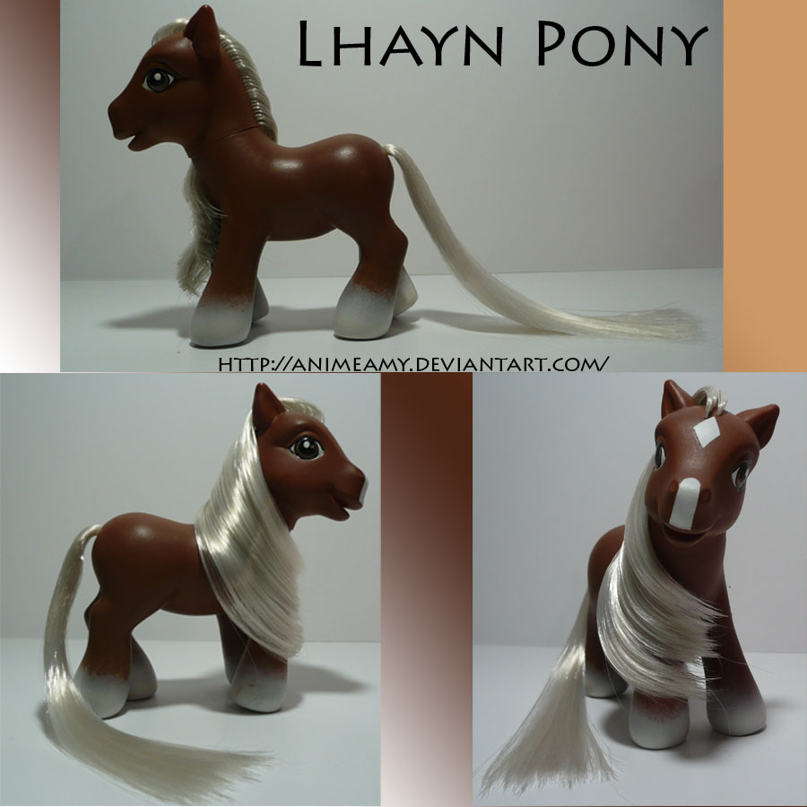 Lhayn Pony