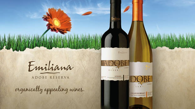 Emiliana Adobe Reserva Organic Backer Card