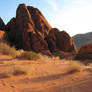 00206 - Desert Scenery