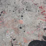 00277 - Paint-Splattered Pavement