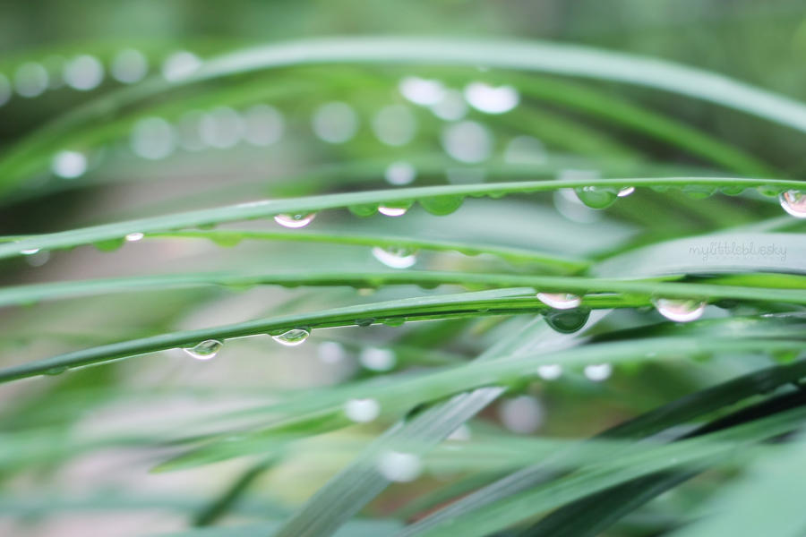 December rain. by mylittlebluesky on DeviantArt