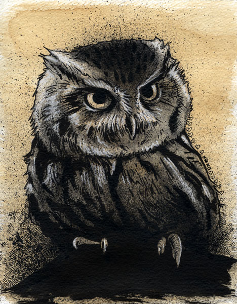 I Owl