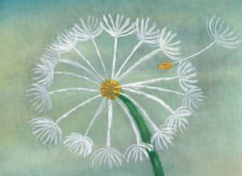 White dandelion