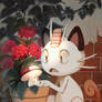 Meowth and Foongus