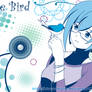 Blue bird