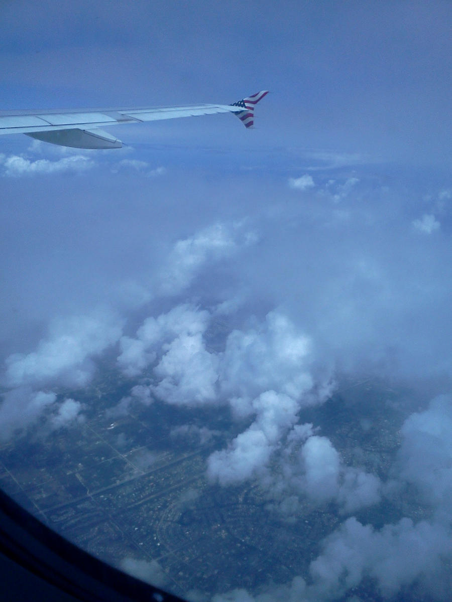 Airplane View